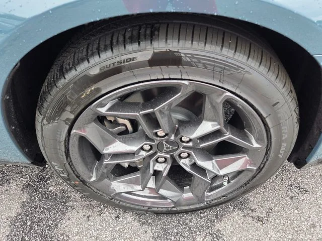 New 2026 Sub-Zero Exterior Paint Dodge R/T image 11
