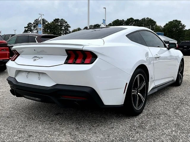 Used 2024 White Ford EcoBoost Premium image 4