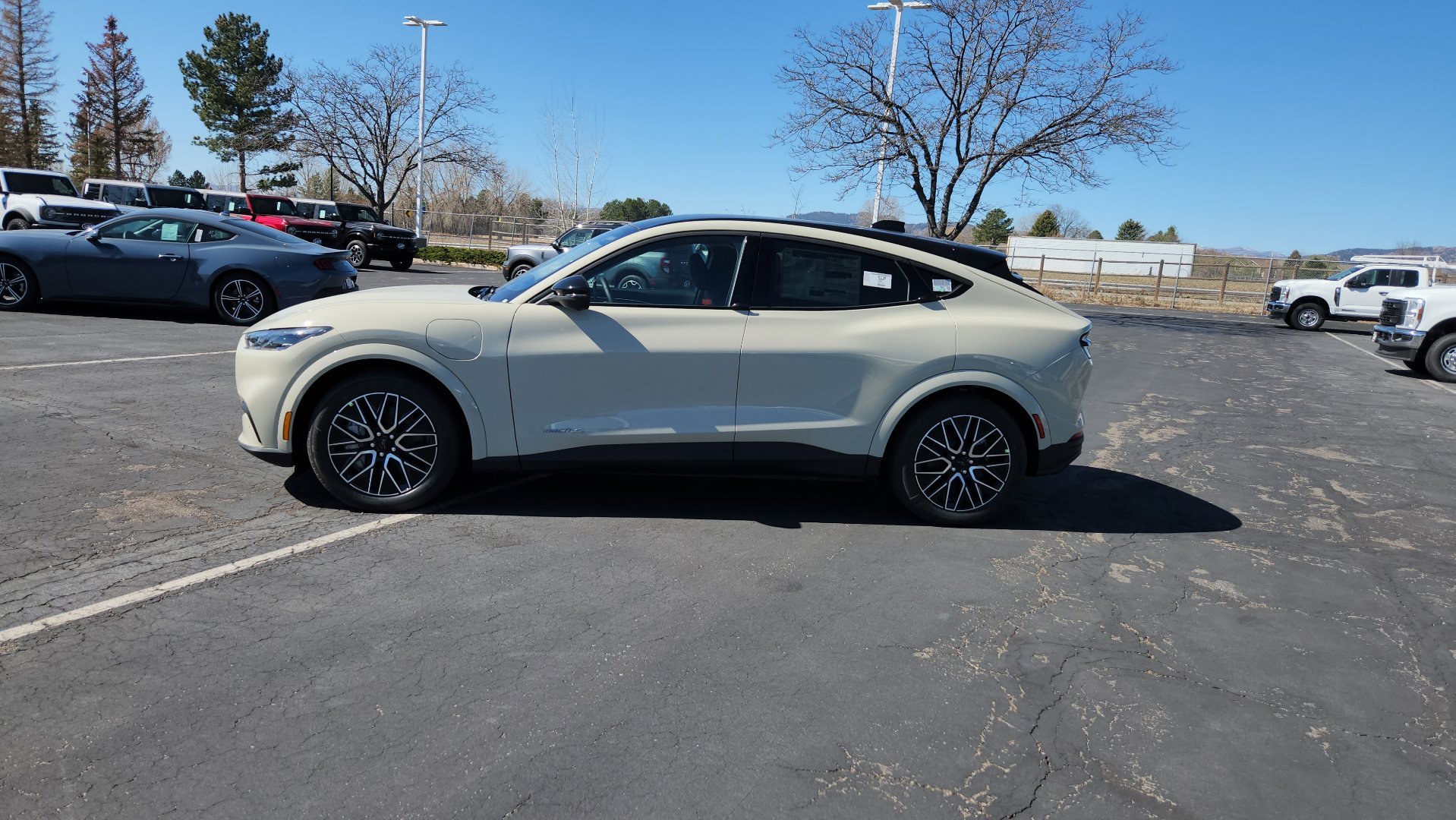 New 2026 Desert Sand Ford Premium image 6