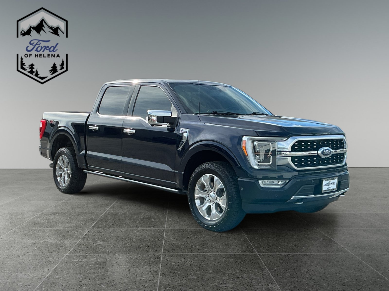 Used 2022 Blue Ford Platinum image 7