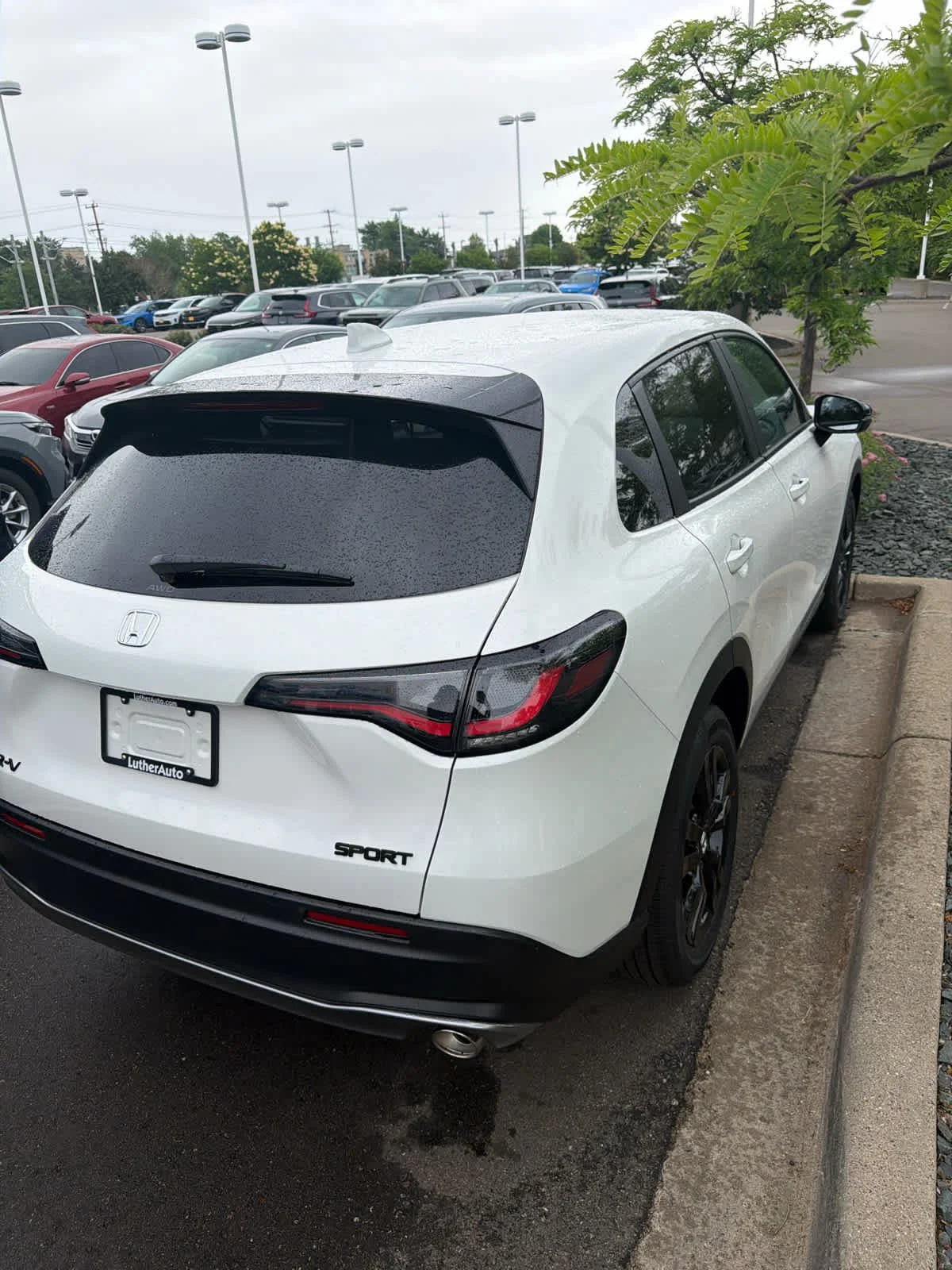 Certified Used 2026 Platinum White Pearl Honda Sport image 5