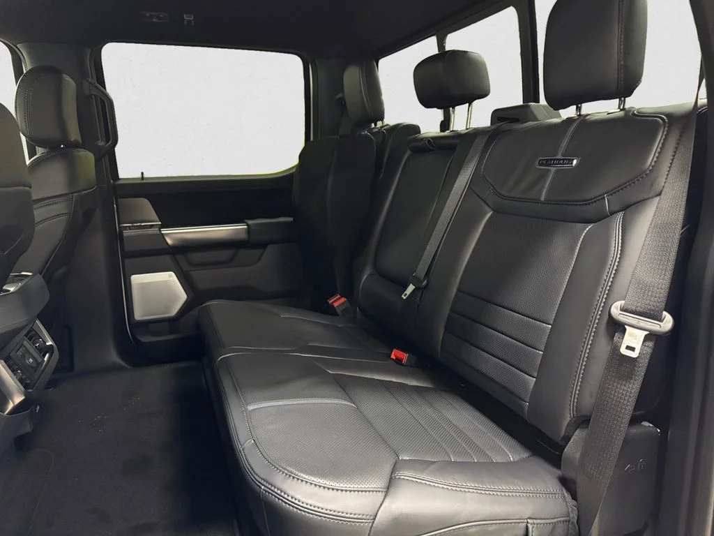 New 2026 White Ford Platinum image 13