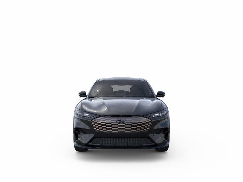 2025 Ford Mustang Mach-E GT - Photo 26