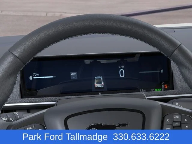 2025 Ford Mustang Mach-E GT - Photo 13