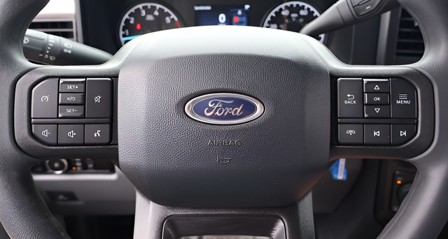 Used 2025 Race Red Ford XL image 16