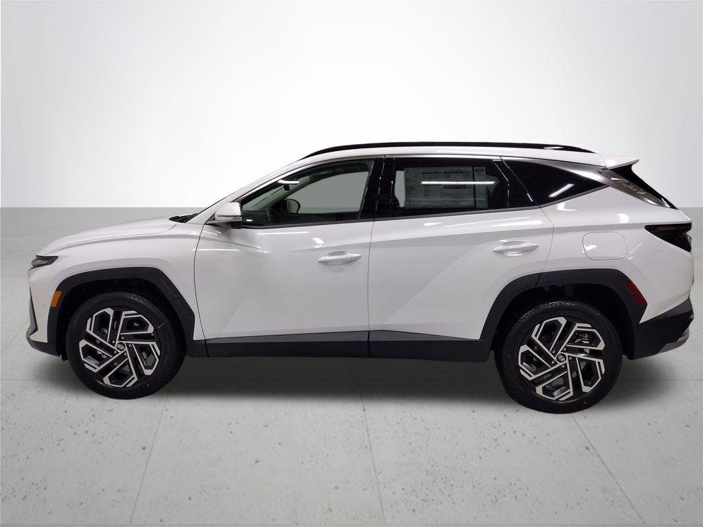 New 2026 White Pearl Hyundai Limited image 10
