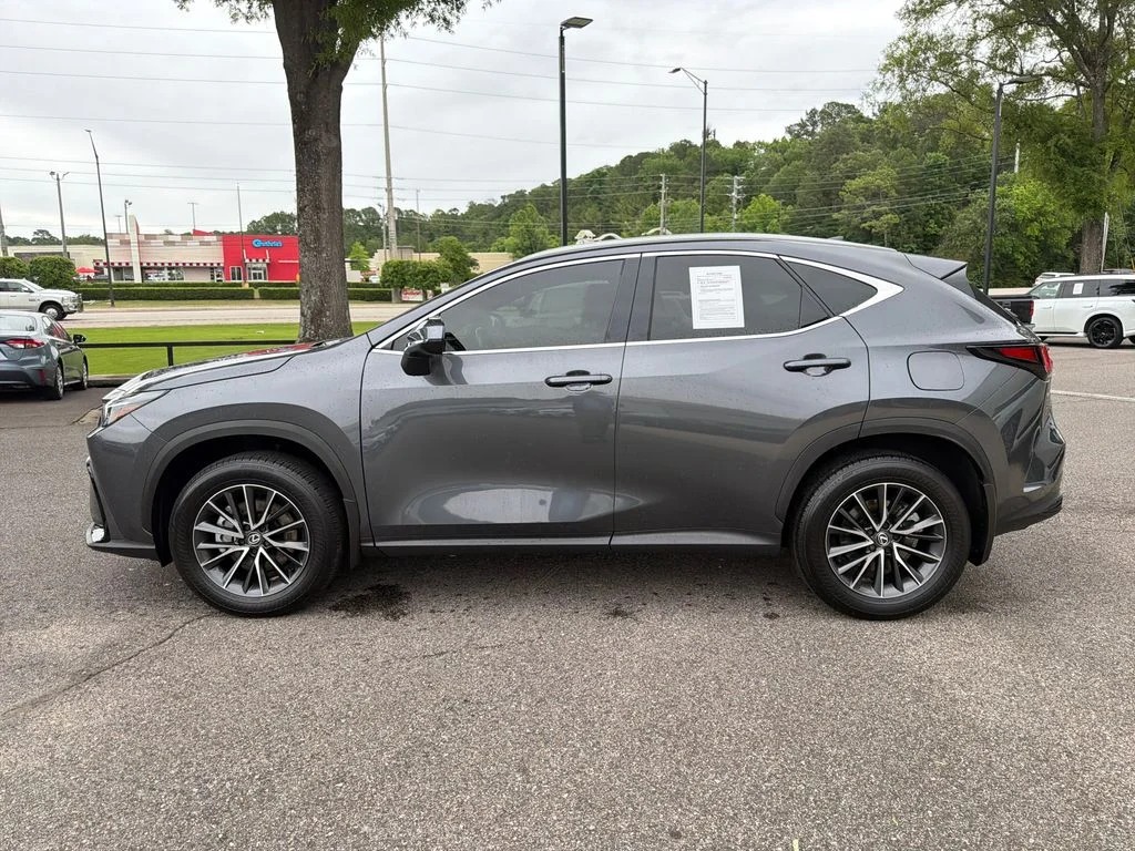 2025 Lexus NX 250 - Photo 7