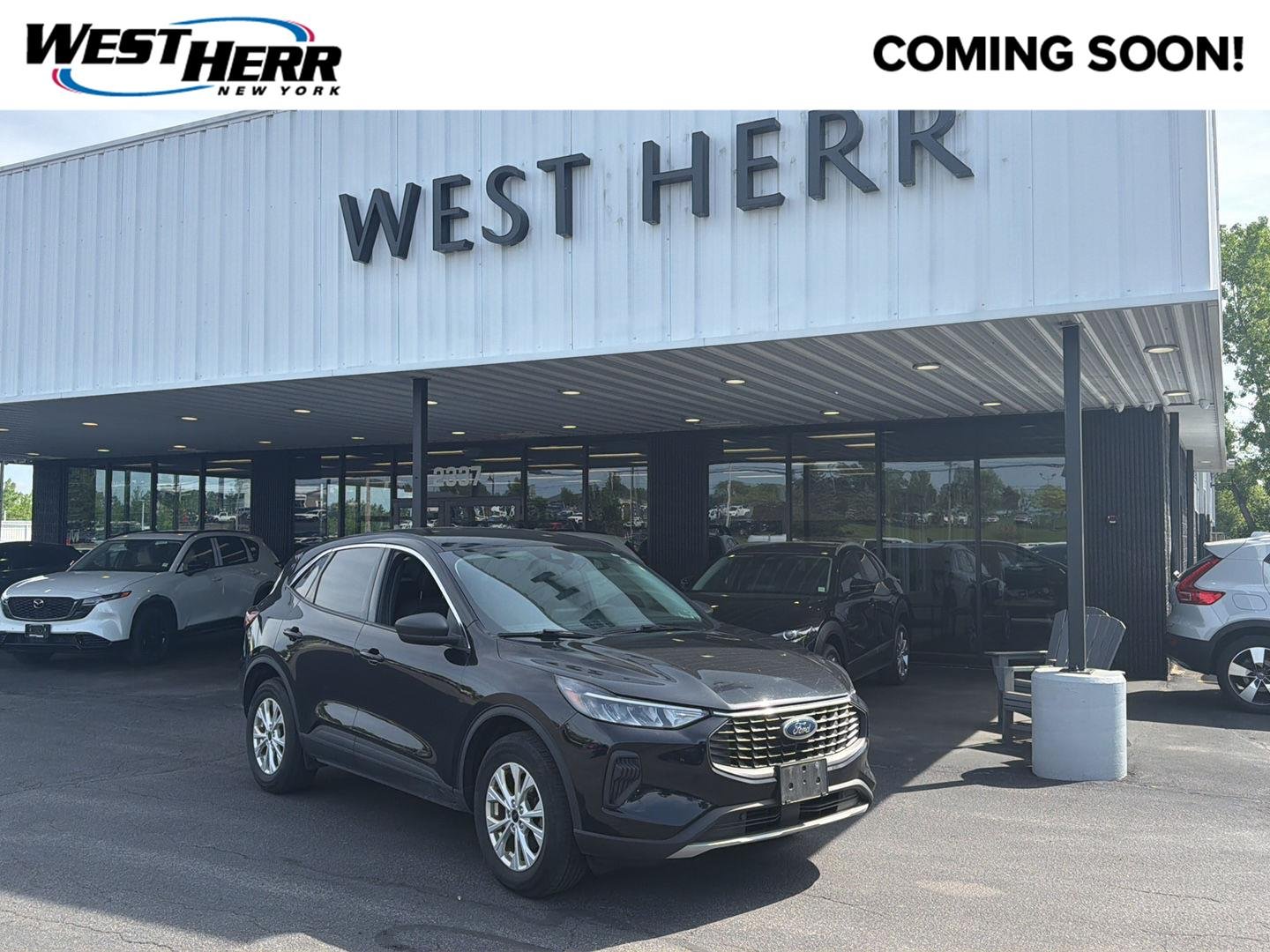Used 2023 Agate Black Ford Active image 1