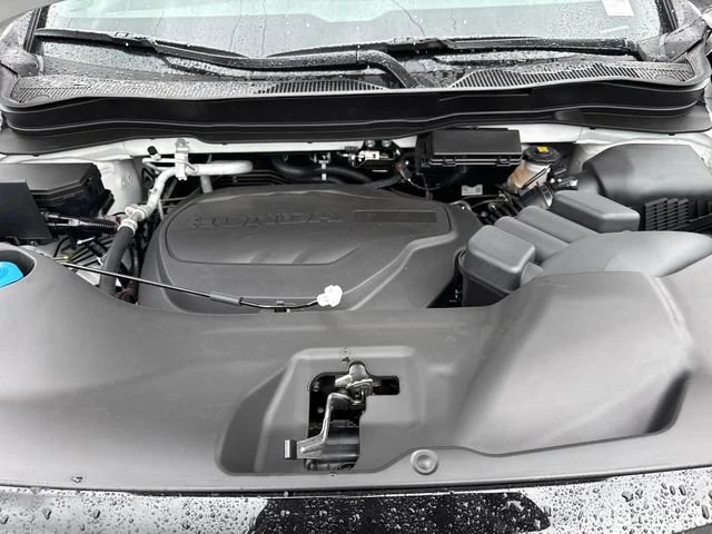 New 2026 Platinum White Pearl Honda Black Edition image 28