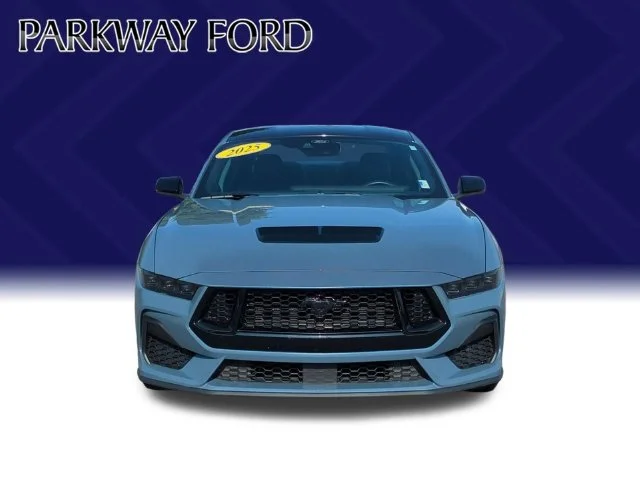 Used 2025 Blue Ford GT Premium image 8