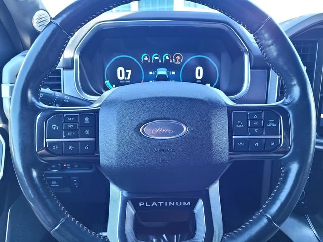 Used 2021  Ford Platinum image 25