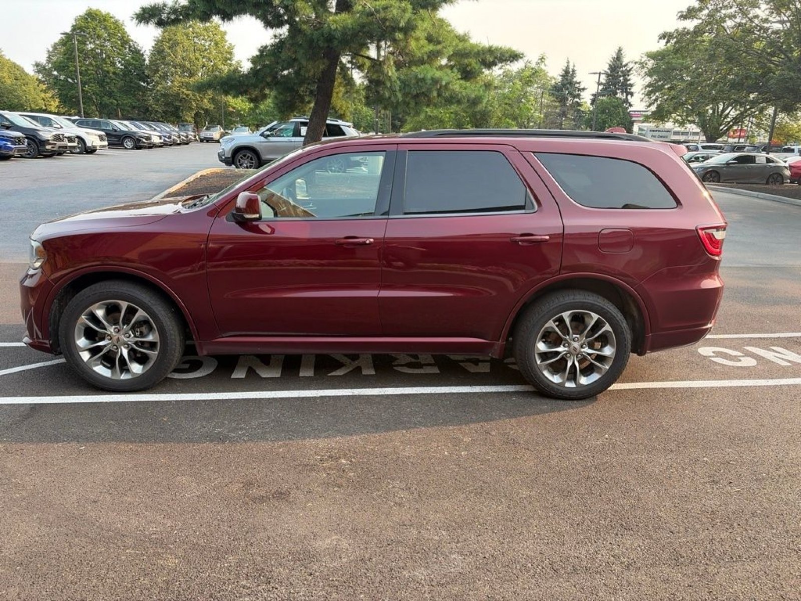 Used 2019 Red Dodge GT Plus image 10