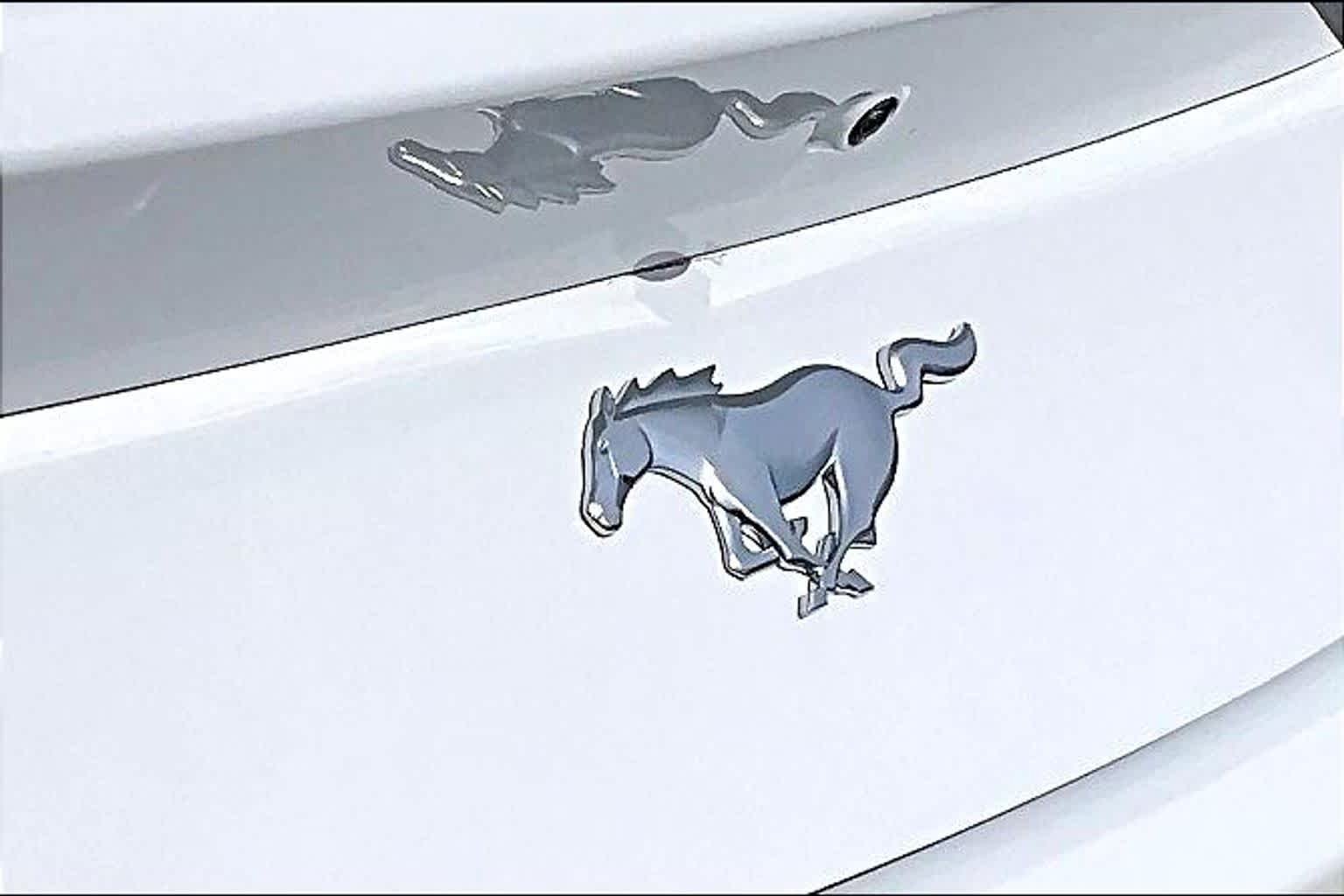 Used 2025 Oxford White Ford EcoBoost image 10