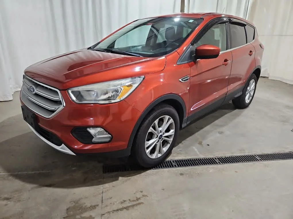 Used 2019 Sedona Orange Metallic Ford SE image 2
