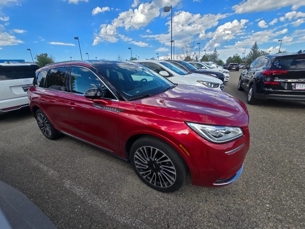 Used 2020 Red Carpet Lincoln Reserve image 16