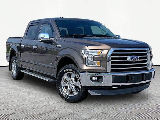 Used 2017 Caribou Metallic Ford XL image 1