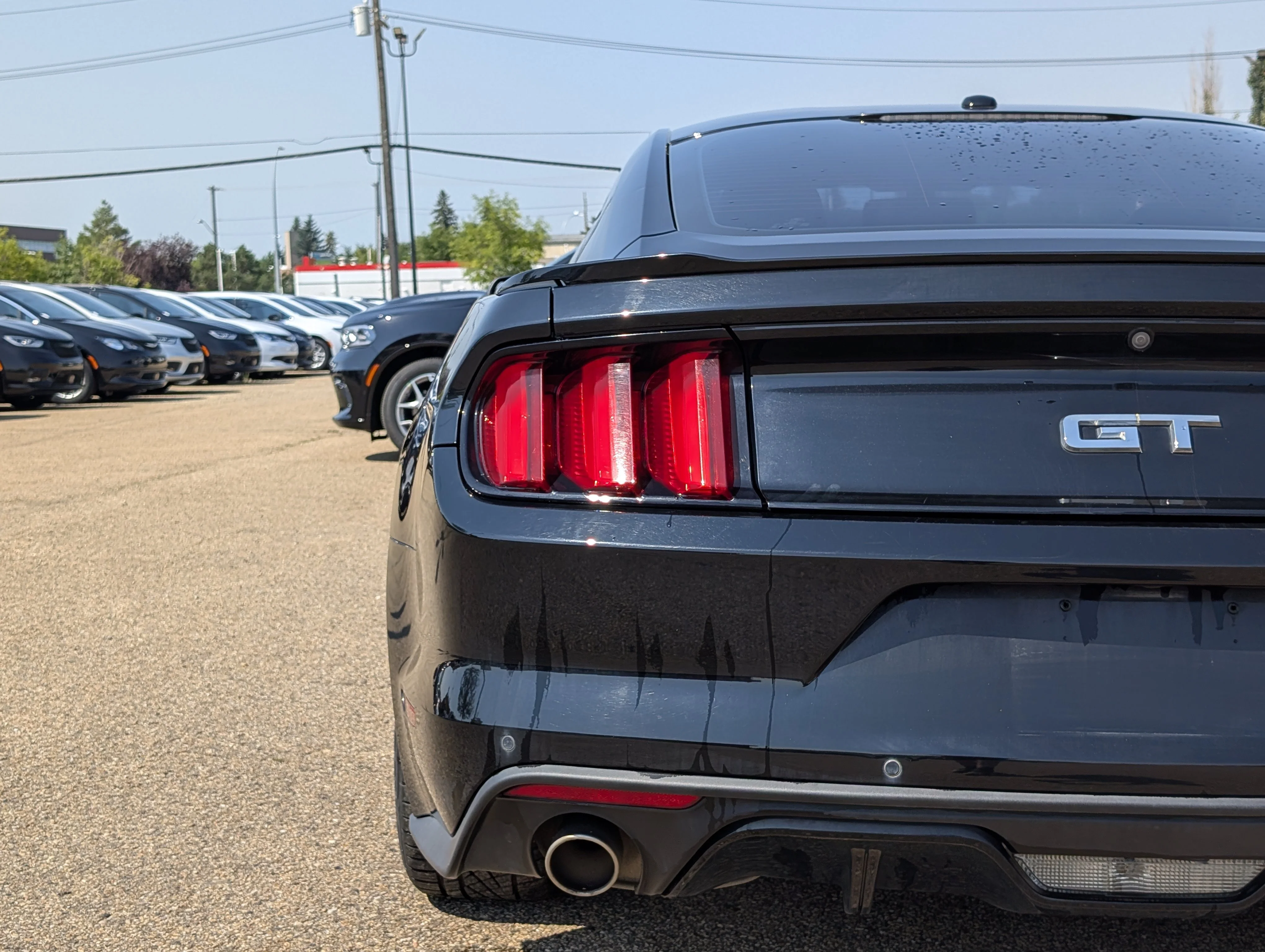 Used 2016 Shadow Black Ford 2dr Fastback GT image 13