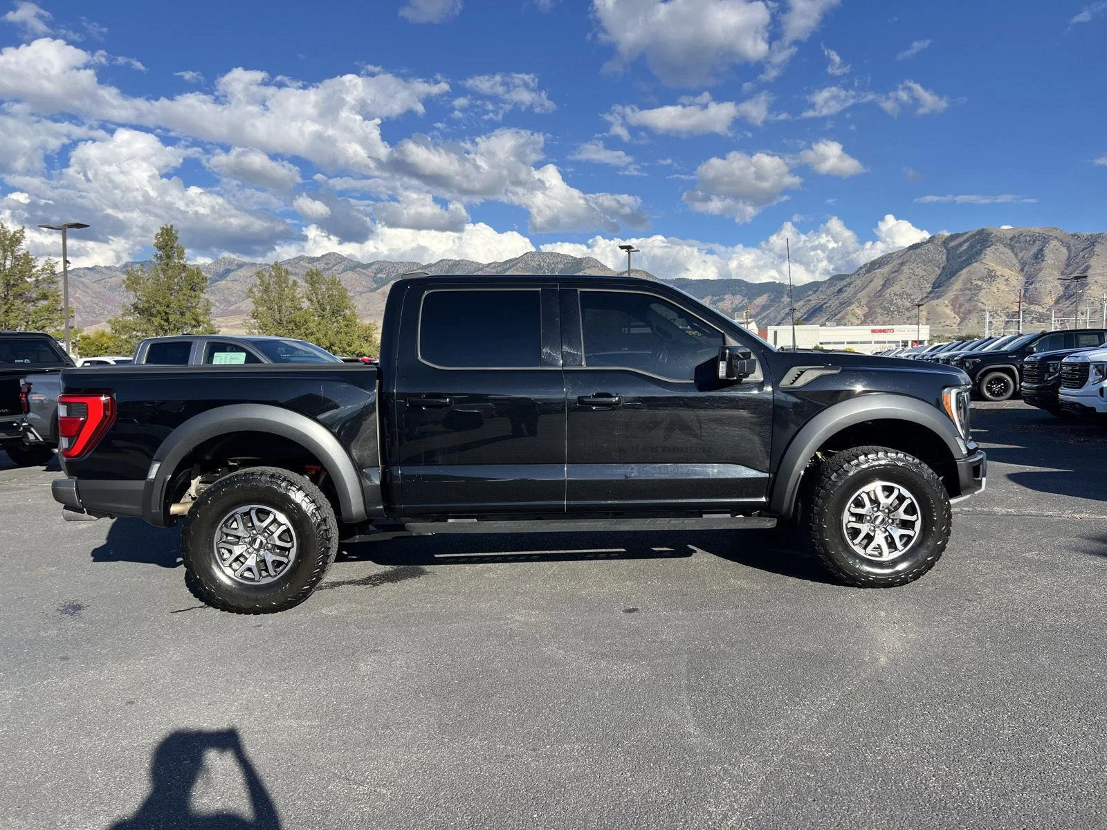 2022 Ford F-150 Raptor - Photo 10