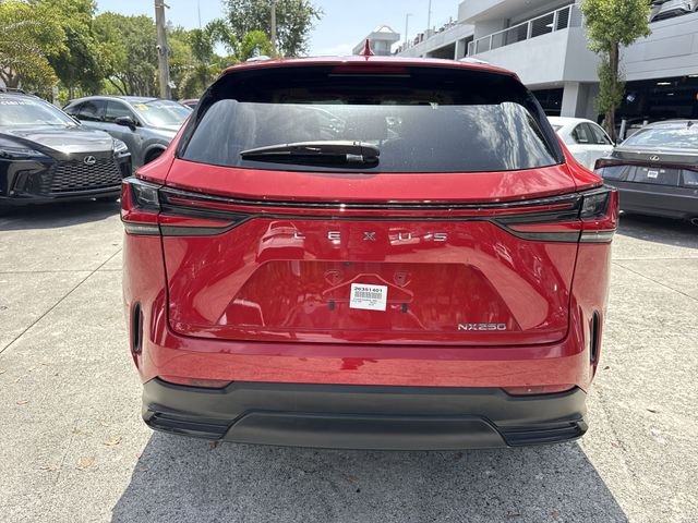 2024 Lexus NX 250 - Photo 24