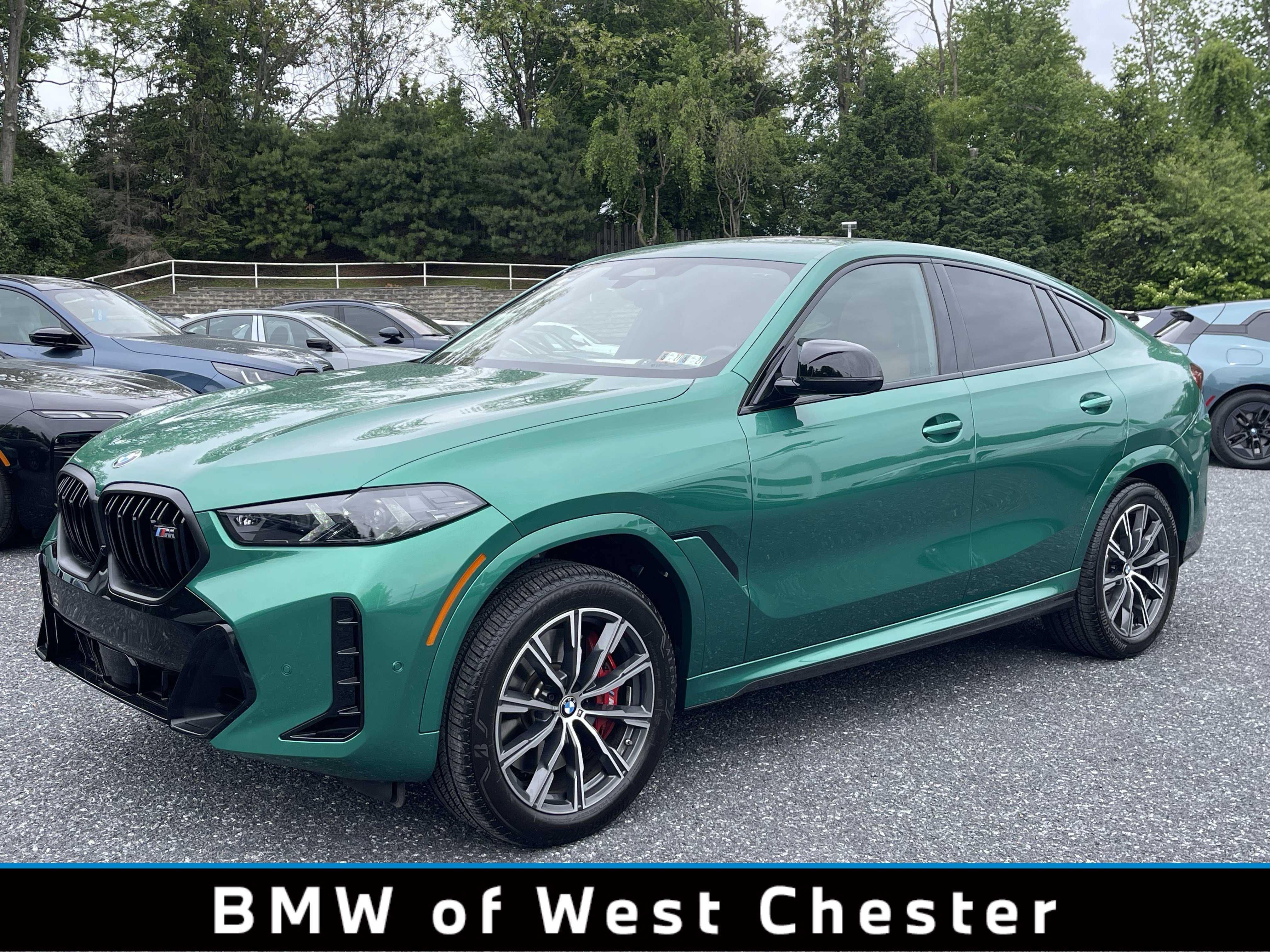 2025 BMW X6 M60i's photo