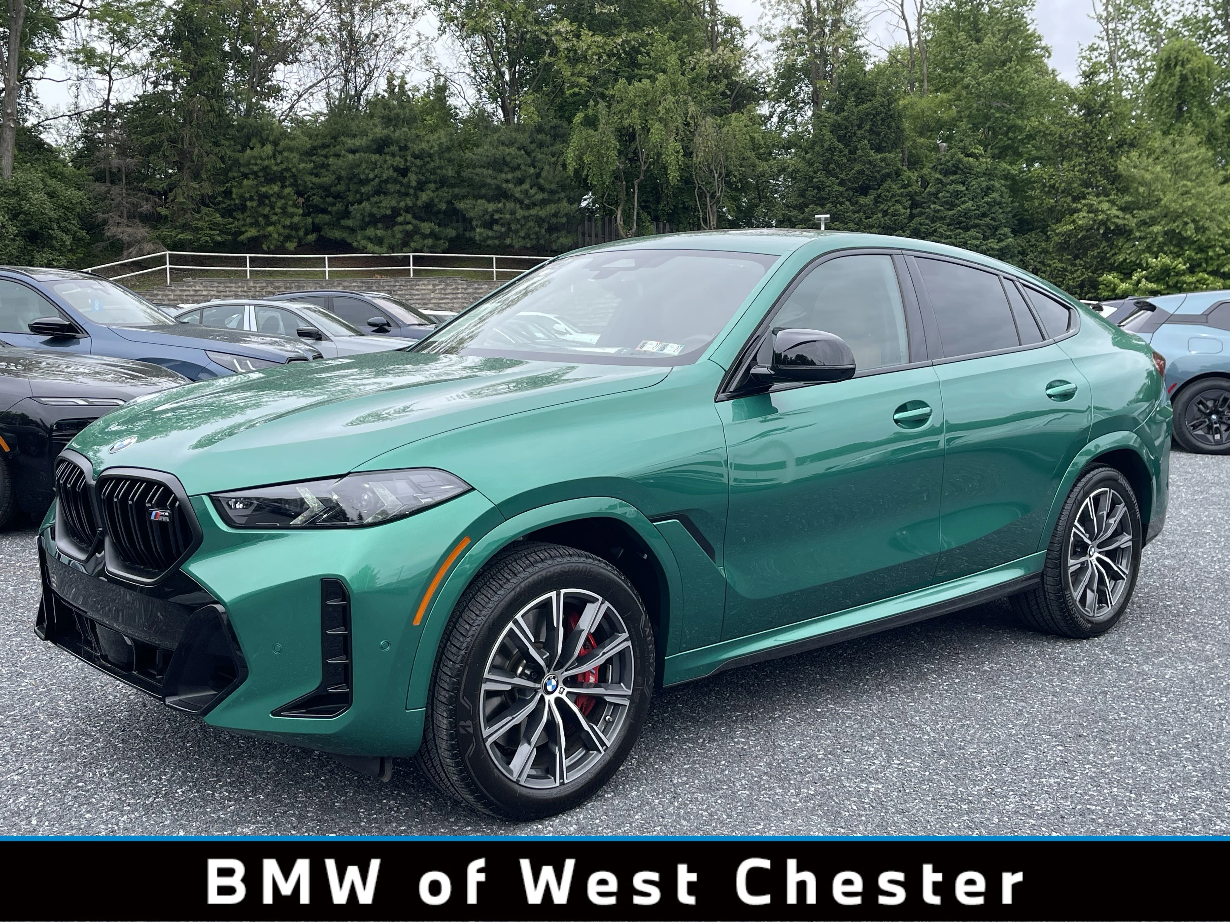 2025 BMW X6 M60i's photo