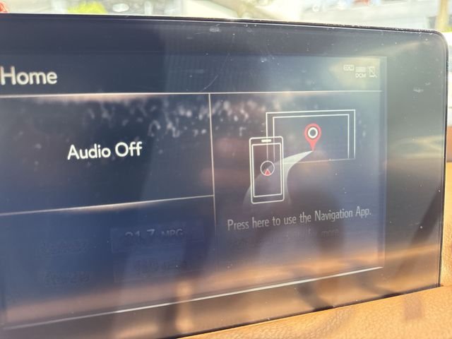Certified Used 2024 IRIDIUM Lexus 300 image 18