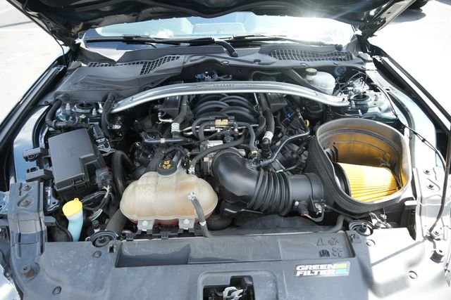 Used 2019 Green Ford Bullitt image 12