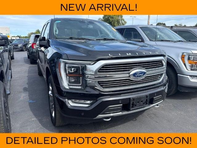 Used 2023 Black Metallic Ford Limited image 6