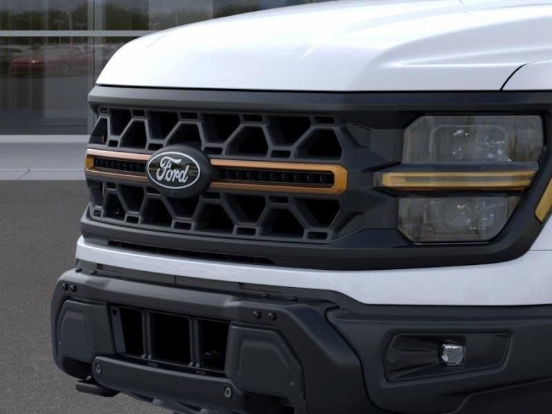 2025 Ford F-150 Tremor - Photo 17