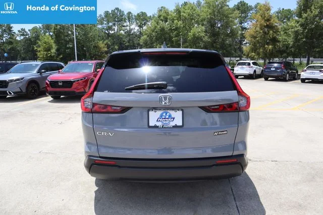 Used 2025 Urban Gray Pearl Honda 1.5T 2WD LX image 4