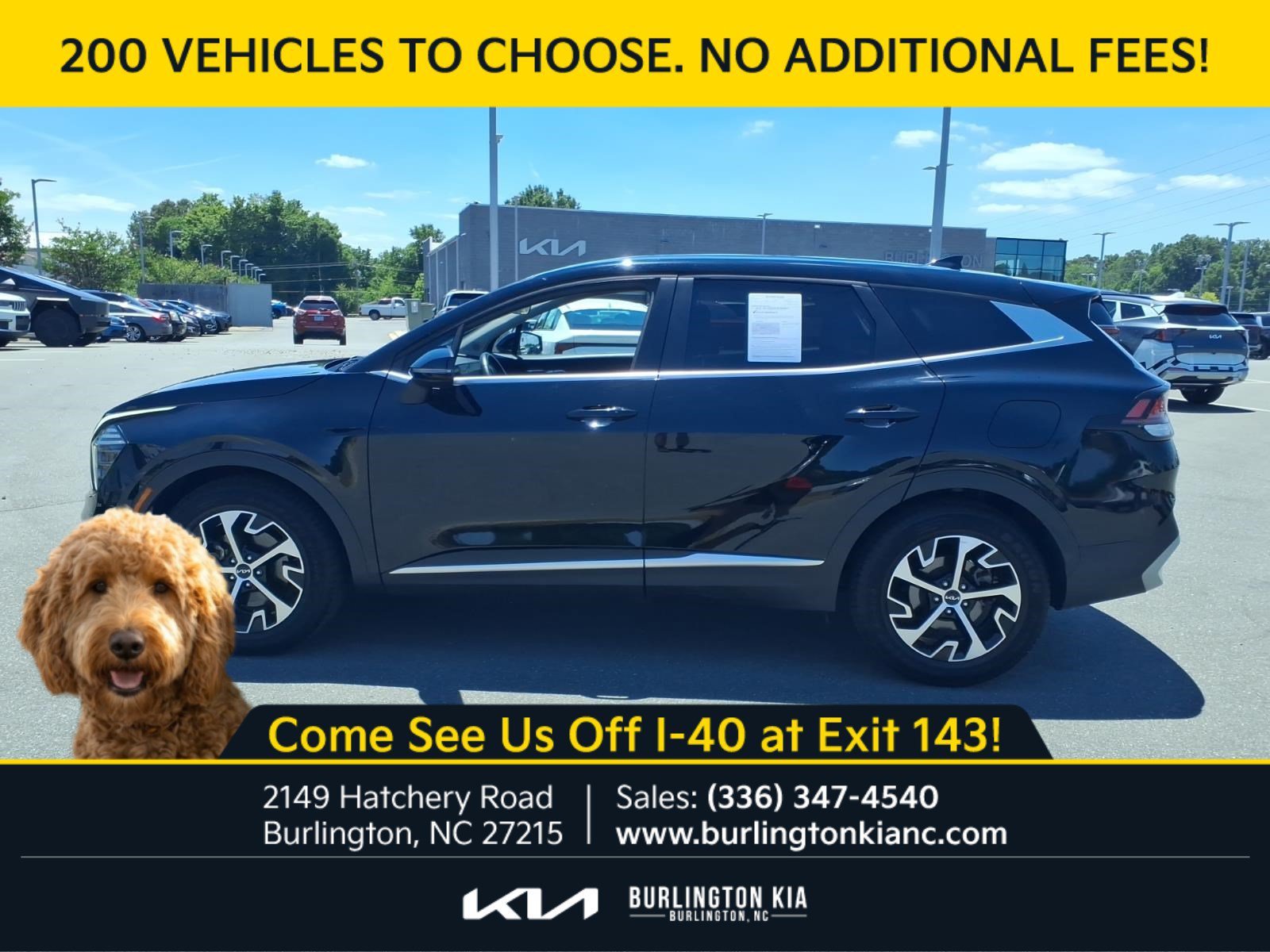 Certified Used 2024 Ebony Black Kia EX image 22