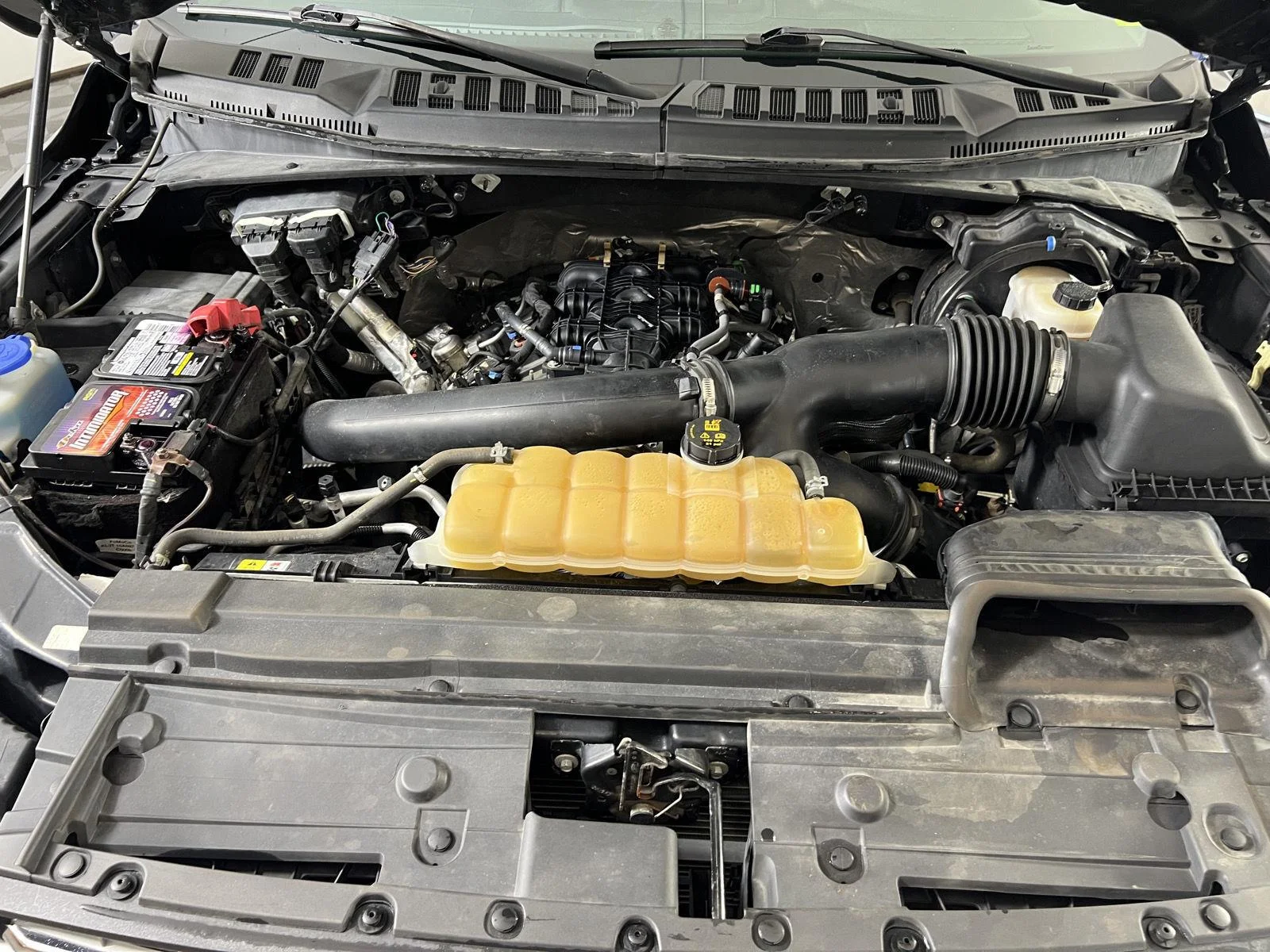 Used 2019 Blue Jeans Ford XLT image 29