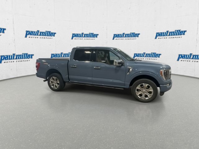 Certified Used 2023 Gray Ford Platinum image 13