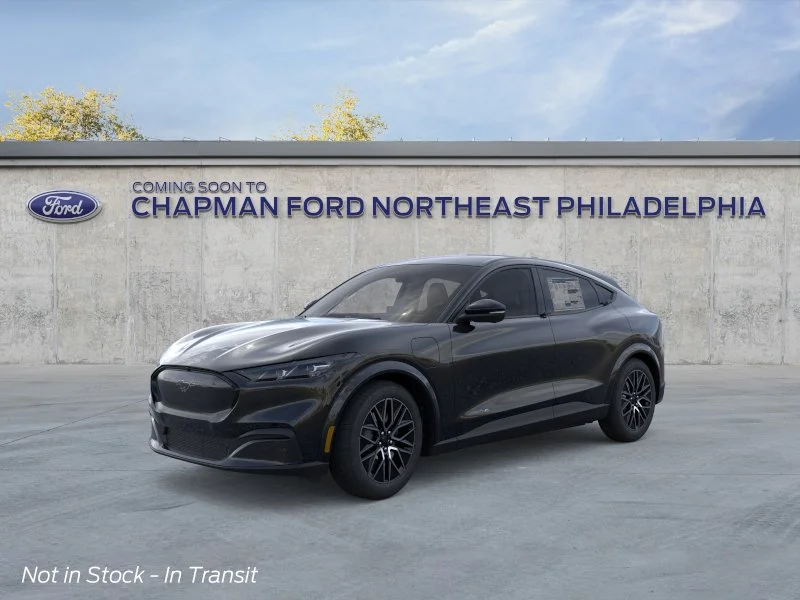 New 2026 Shadow Black Ford Premium image 1