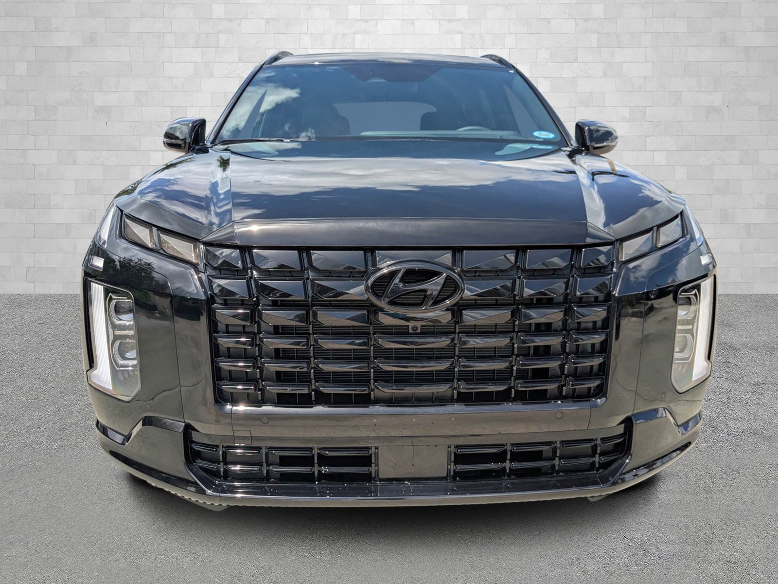 2025 Hyundai Palisade Calligraphy Night Edition - Photo 6