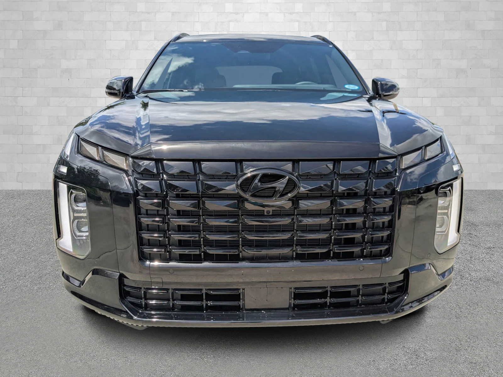 2025 Hyundai Palisade Calligraphy Night Edition - Photo 6