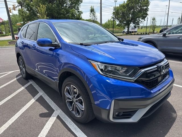 Certified Used 2020 Blue Honda EX image 2