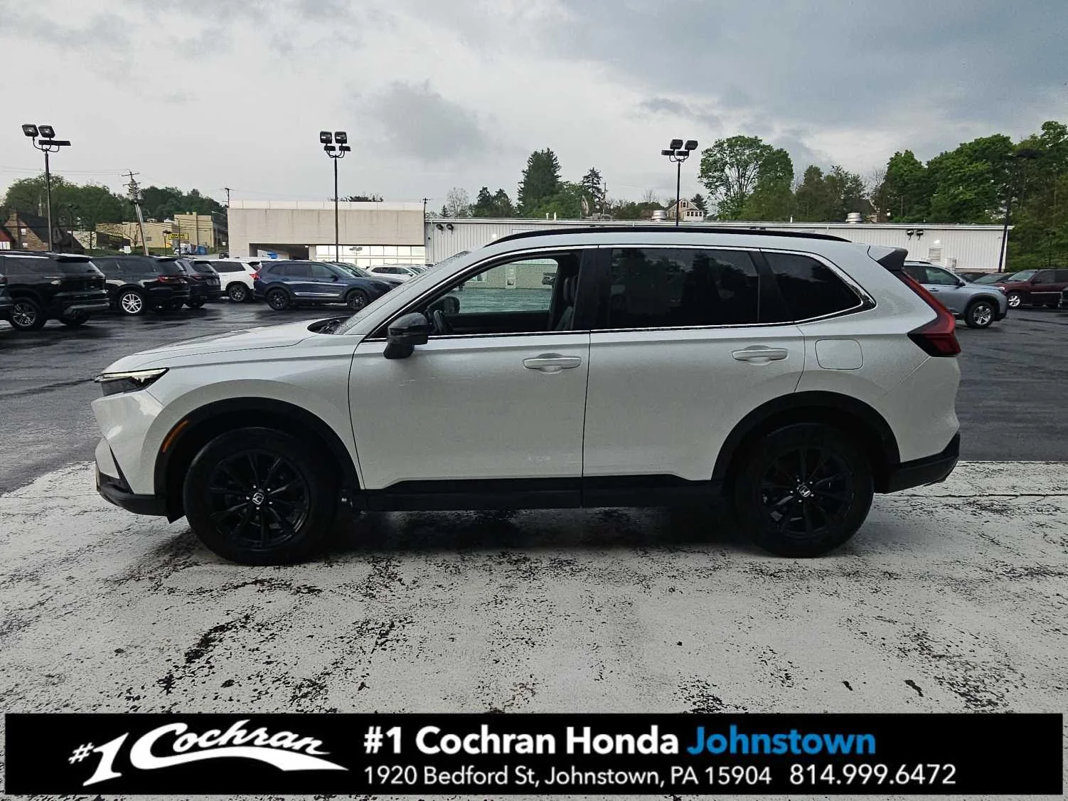 Used 2024 Platinum White Pearl Honda Sport-L image 4