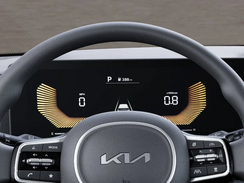 New 2026 Panthera Metal Kia LX image 21