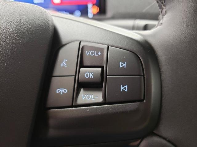 New 2026 Shadow Black Ford Premium image 22