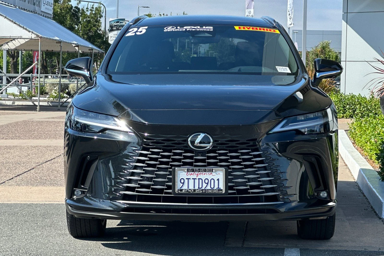 2025 Lexus RX PHEV 450h+ - Photo 6