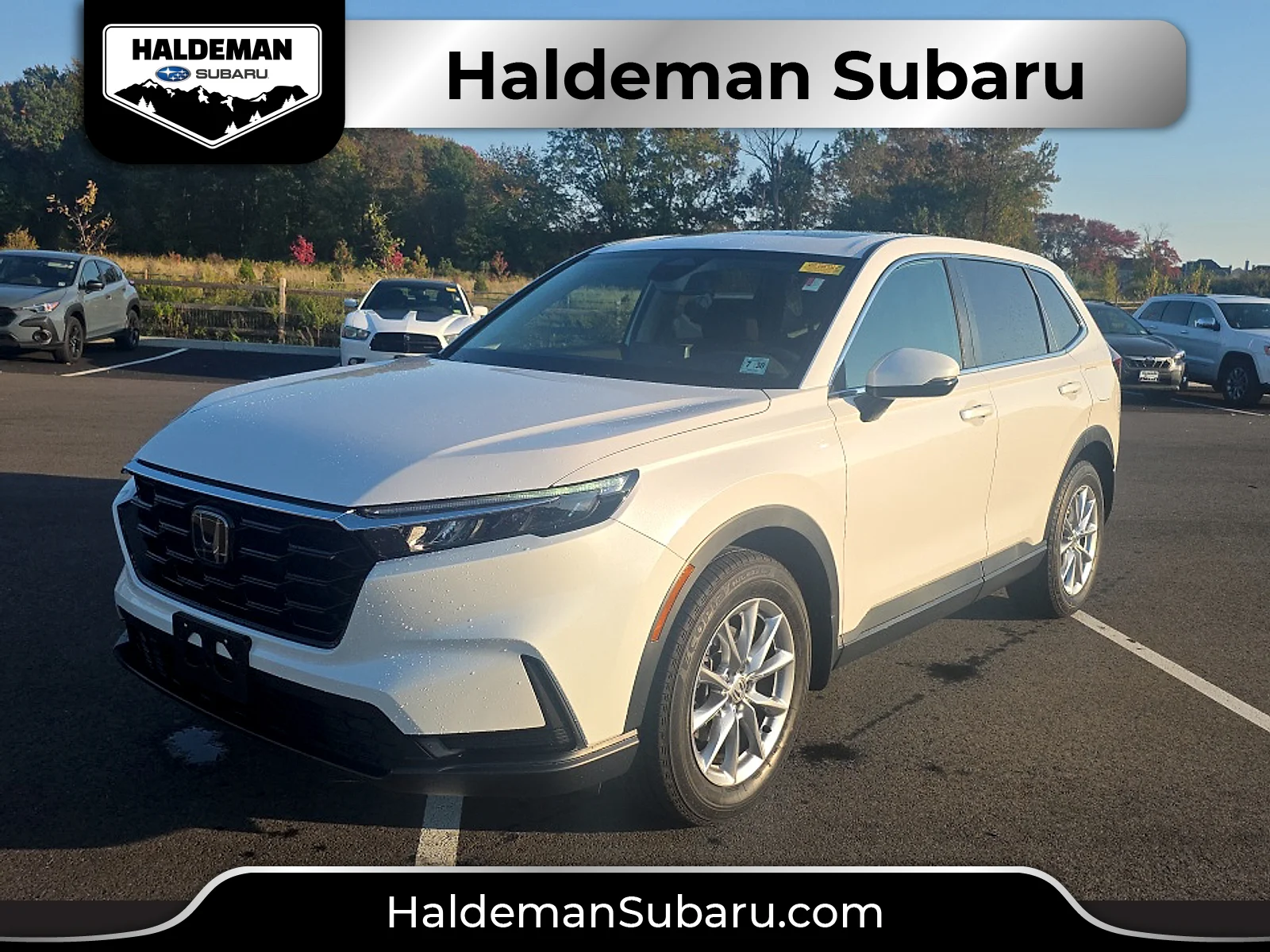 Used 2026 Platinum White Pearl Honda EX AWD image 1