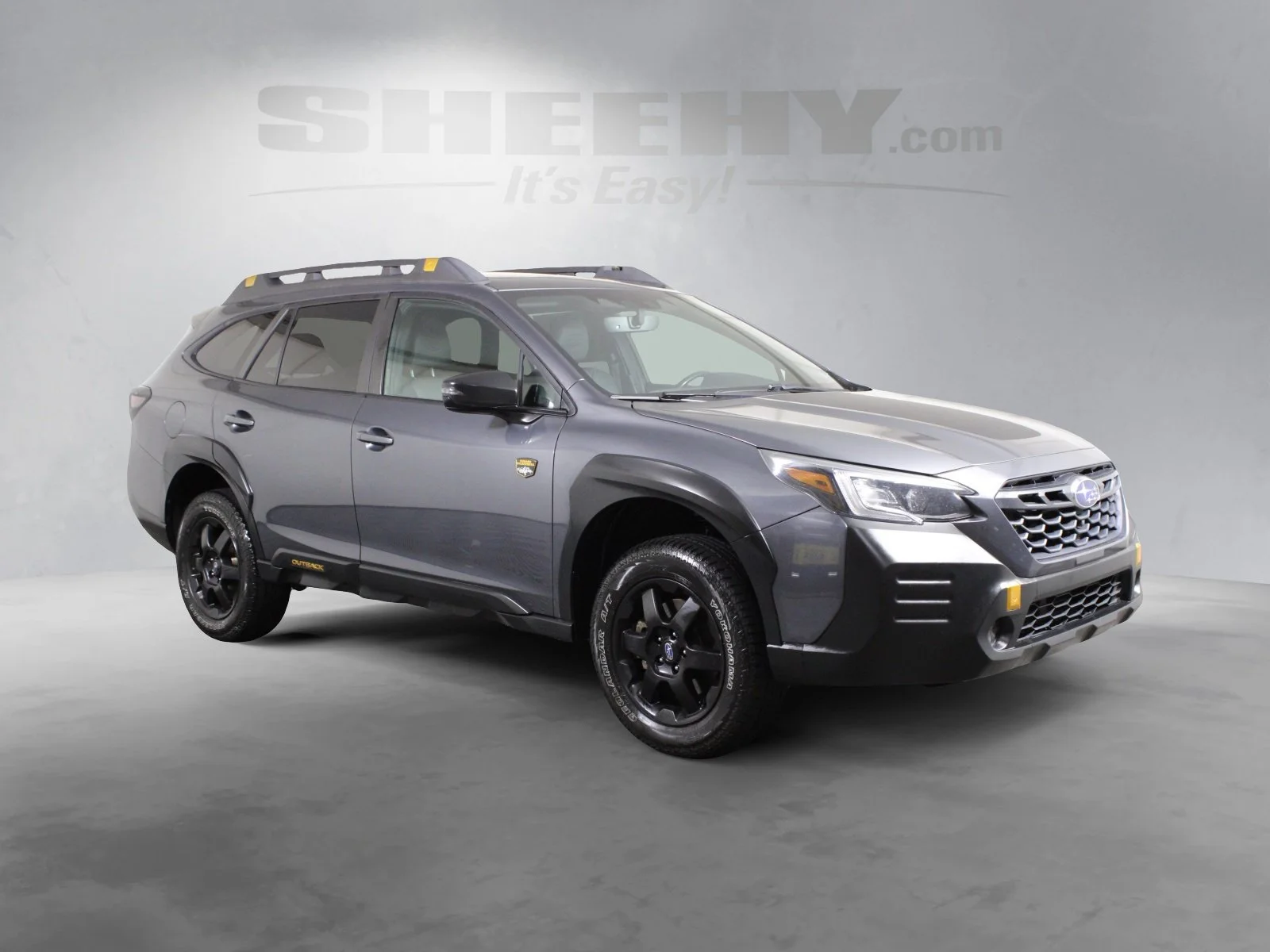 Used 2023 Gray Subaru Wilderness image 2