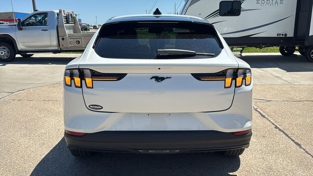 Used 2025 White Ford Premium image 11