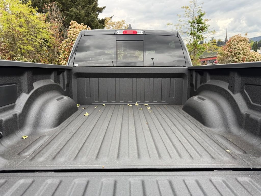 New 2026 Diamond Black Crystal Pearl-Coat Exterior Paint RAM RHO image 11