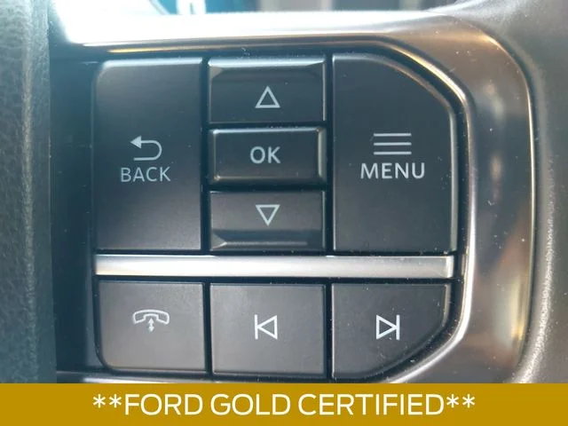 Used 2024 Red Ford Platinum image 18