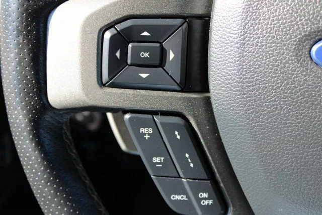 Used 2019 Blue Ford Raptor image 29