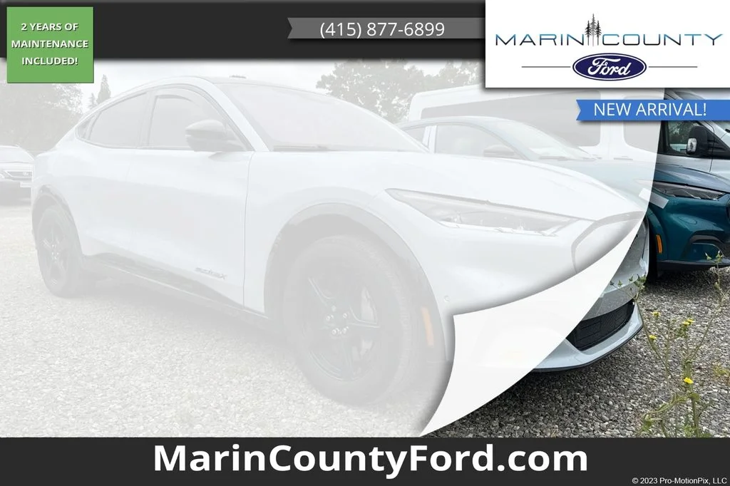 2022 Ford Mustang-Mach-e California Route 1's photo