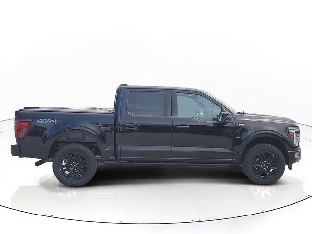 New 2026 Black Metallic Ford Platinum image 4