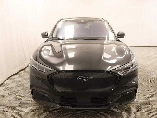New 2026 Shadow Black Ford Premium image 20